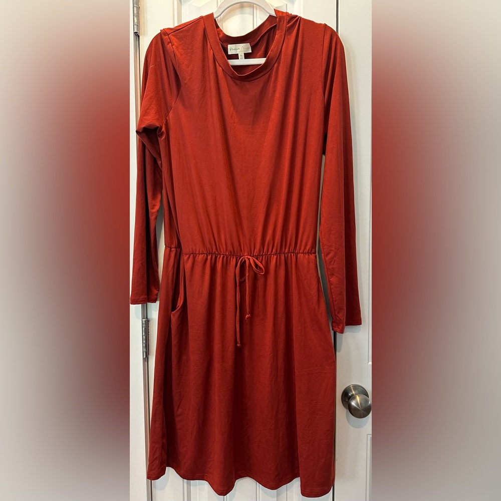 Long Sleeve Fall Orange dress with pockets size XL